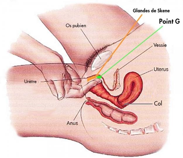 Point G feminin