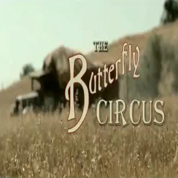 The Butterfly Circus